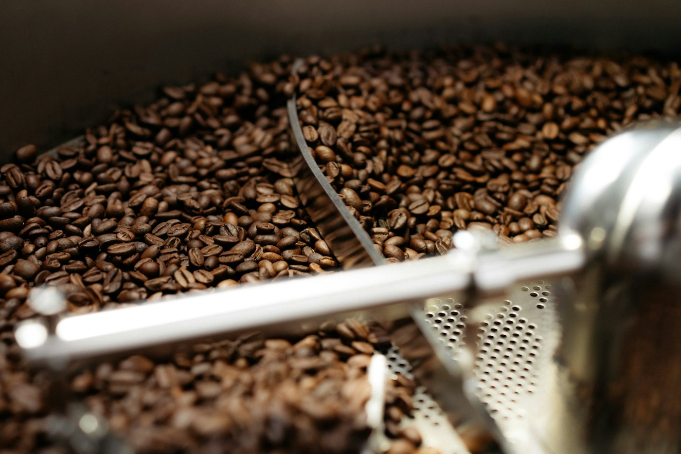 Freshly roasted beans turning in the cooling tray
